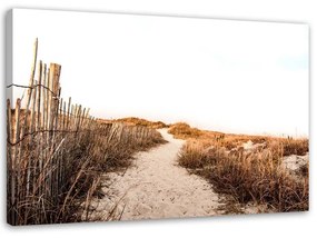 Obraz na plátně Pláž Písečné duny Travnaté plochy - 100x70 cm