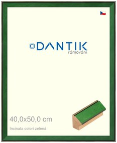 DANTIK rám na obraz 40x50 | INCLINATA colori zelená (Sklo Čiré)