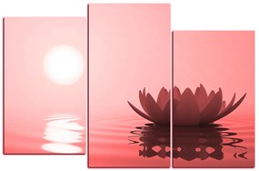 Obraz na plátne - Zen lotus 1167CC (135x90 cm)