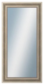 DANTIK - Zrkadlo v rámu, rozmer s rámom 60x120 cm z lišty KŘÍDLO veľké (2773)
