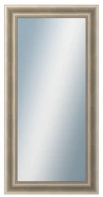 DANTIK - Zrkadlo v rámu, rozmer s rámom 60x120 cm z lišty KŘÍDLO veľké (2773)