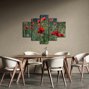 Obraz - Lúka s vlčími makmi (150x105 cm)