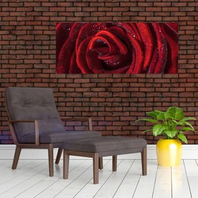 Obraz - Červená ruža s kvapkami rosy (120x50 cm)