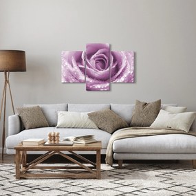 Obraz detailu kvetu ruže (90x60 cm)