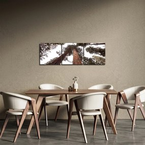 Obraz - Pohľad skrz koruny stromov (s hodinami) (90x30 cm)