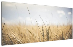 Obraz obilia (120x50 cm)