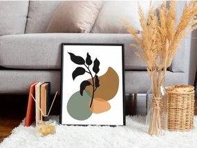 Zarámovaný obraz Botanic IV, 30x40 cm%