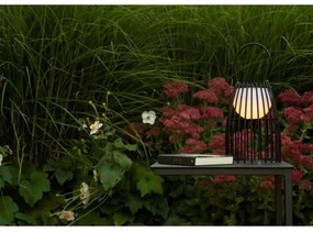 Lucide 06801/01/30 - LED Stmievateľná dotyková lampa FJARA LED/0,3W/3,7V IP44