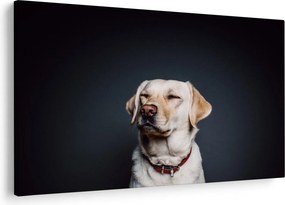 Obraz labradora (90x60 cm)