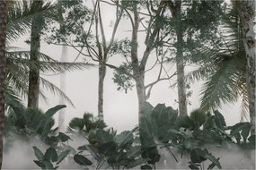 Obraz - Jungle v rannej hmle (90x60 cm)