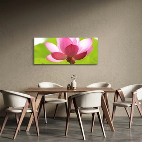 Obraz kvetu Lotusu (120x50 cm)
