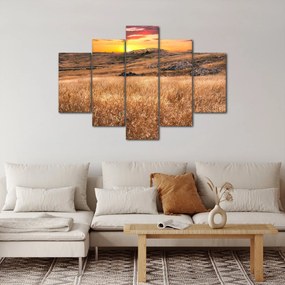 Obraz pole (150x105 cm)