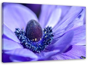 Gario Obraz na plátne Modrá a fialová kvetina Rozmery: 60 x 40 cm