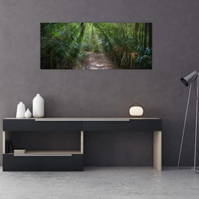 Obraz - Slnečné lúče v džungli (120x50 cm)
