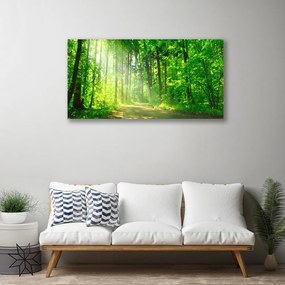 Obraz Canvas Les cestička stromy príroda 140x70 cm