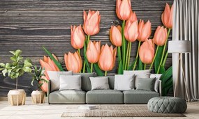 Fototapeta oranžové tulipány na drevenom podklade - 225x150