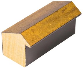 DANTIK rám na obraz 40x50 | Forgia Gold (Plexi Čiré)
