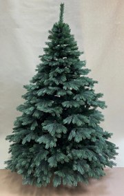 Borovica Aurora široká 3D 170cm