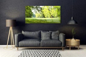 Obraz plexi Tráva stromy park príroda 120x60 cm