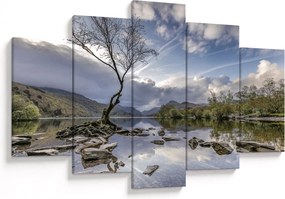 Obraz rieky za stromom (150x105 cm)