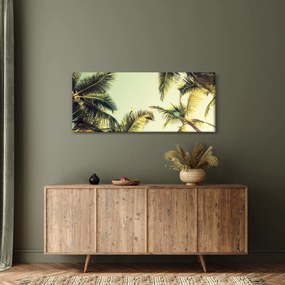 Obraz s kokosovými palmami (120x50 cm)