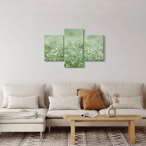 Obraz - Rosa v tráve (90x60 cm)