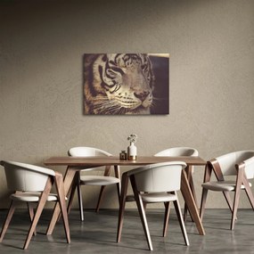 Obraz tigra (70x50 cm)