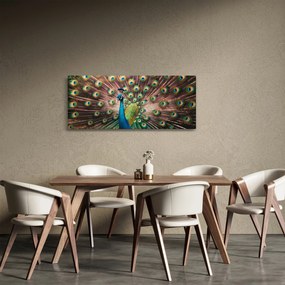 Obraz - Páv (120x50 cm)