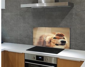 Nástenný panel  dog bun 100x50 cm