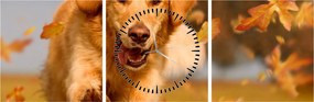 Obraz - Zlatý retriever (s hodinami) (90x30 cm)