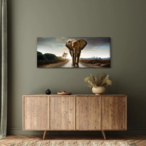 Obraz slona (120x50 cm)