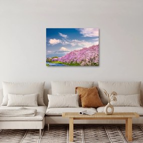 Obraz - Japonská jarná krajina (70x50 cm)