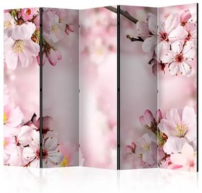 Paraván - Spring Cherry Blossom II [Room Dividers]