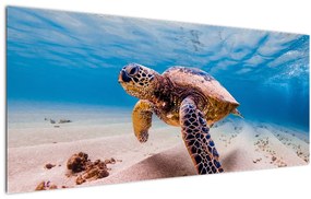 Obraz korytnačky v oceáne (120x50 cm)