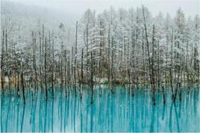 Obraz - Tyrkysový rybník, Biei, Japonsko (90x60 cm)