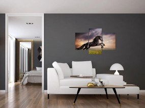 Obraz - Kone (90x60 cm)