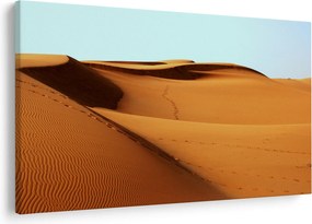 Obraz - Stopy v púšti (90x60 cm)