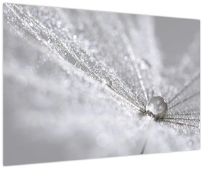 Obraz - Kvapka vody (90x60 cm)