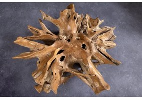 Konferenčný stôl Root 44120 Ø100cm Drevo Teak  - Komfort-nábytok