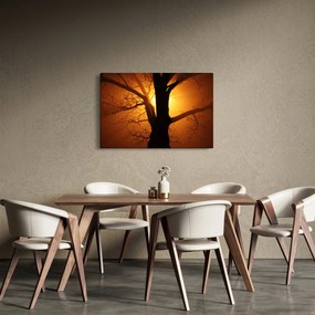 Obraz stromu pri západe slnka (90x60 cm)