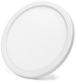 Aigostar - LED RGBW Stmievateľné stropné svietidlo LED/22W/230V 2700-6500K Wi-Fi