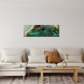 Detailný obraz jaštera (s hodinami) (90x30 cm)