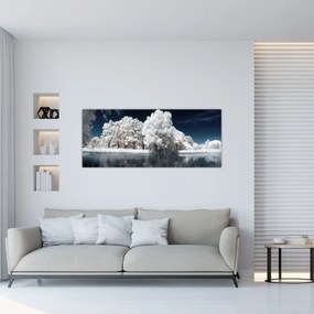 Obraz - Snehobiele stromy (120x50 cm)