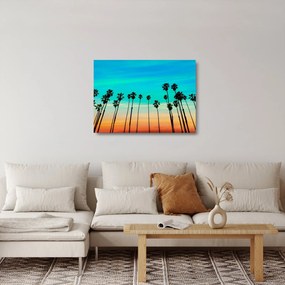 Sklenený obraz - Kalifornia (70x50 cm)