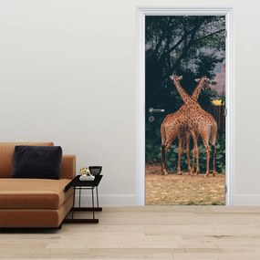Fototapeta na dvere - Dve Žirafy (95x205cm)