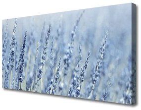Obraz Canvas Kvety klasy lúka príroda 120x60 cm