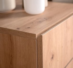 Skrinka 2-dverová Nola, dub artisan/čierna