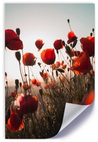 Gario Plagát Maky na slnku Farba rámu: Bez rámu, Veľkosť: 20 x 30 cm