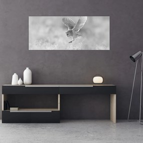 Obraz - Sova v poli (120x50 cm)