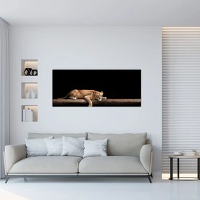 Obraz - Levice (120x50 cm)